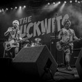 GutterPunk - Professional Concert Photography